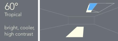 angle-coelux