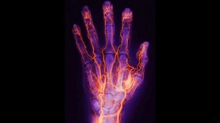 biometrie-veines-main