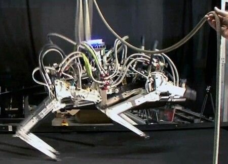 cheetah_robot_guepard