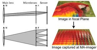 Light Field Camera