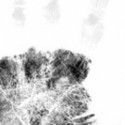 Metamorpho : reconnaissance d’empreintes palmaires pour la police