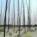 Une forêt de poils géants pour remplacer les éoliennes ?