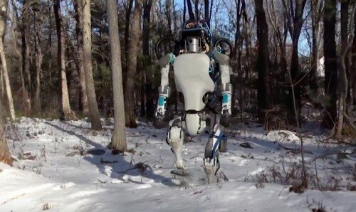 robot-atlas-marche