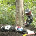 Un robot serpent capable de grimper aux arbres