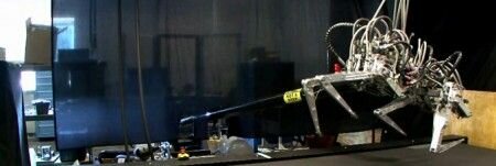 video-robot-cheetah