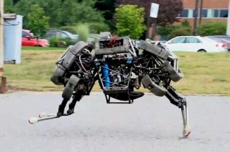 wildcat-robot