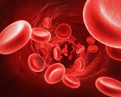 hemoglobine